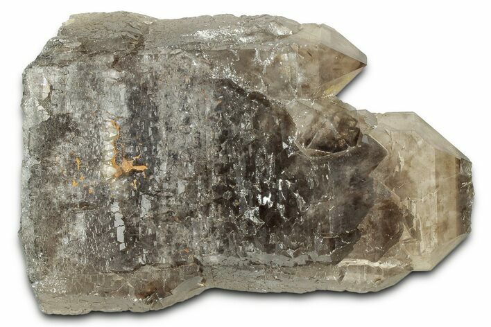 Smoky Quartz Crystal Cluster- Malawi #326666